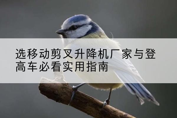 郎溪电动升降机厂家-选移动剪叉升降机厂家与登高车必看实用指南