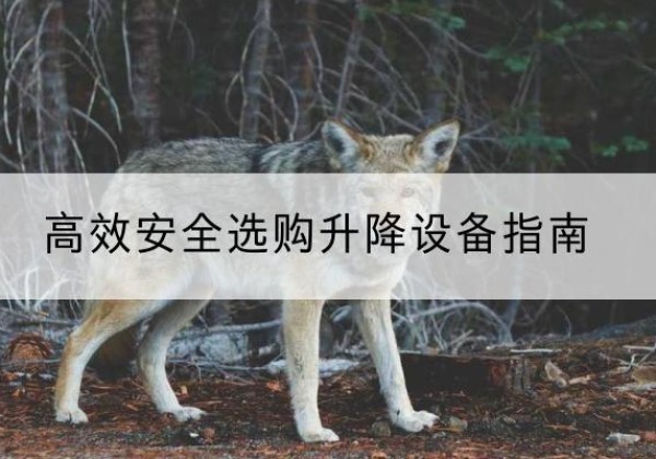 郎溪升降货梯厂家推荐-*安全选购升降设备指南