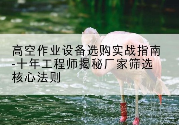 郎溪剪叉式升降机厂家-高空作业设备选购实战指南-十年工程师揭秘厂家筛选核心法则